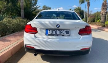 BMW 2.18 i 2019 полный