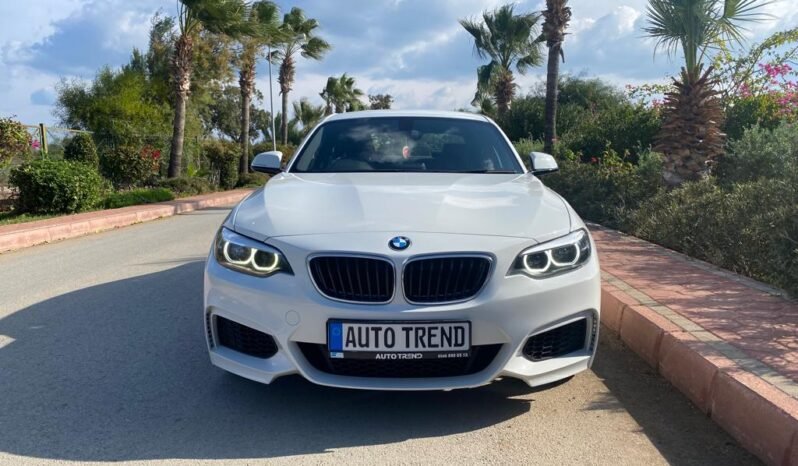 BMW 2.18 i 2019 tam