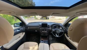Mercedes GLS 350d 2019 full