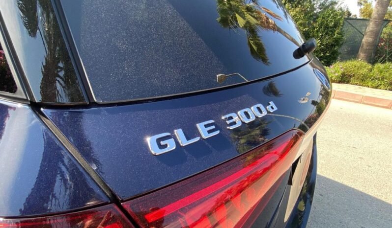 Mercedes GLE 300D 2019 full
