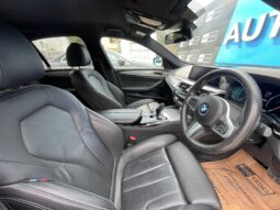 BMW 530e full