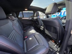 MERCEDES BENZ GLE43 AMG full